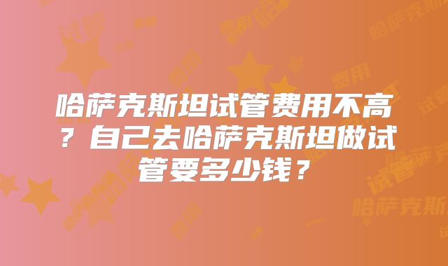 哈萨克斯坦试管费用不高？自己去哈萨克斯坦做试管要多少钱？