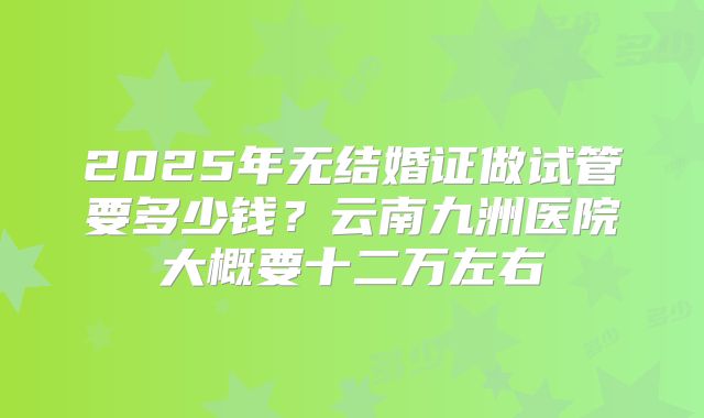 2025年无结婚证做试管要多少钱？云南九洲医院大概要十二万左右