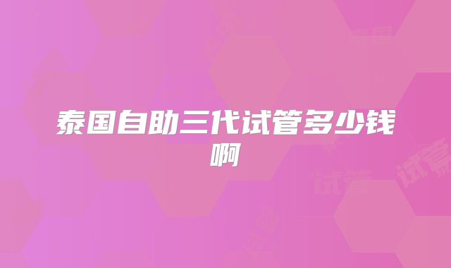 泰国自助三代试管多少钱啊