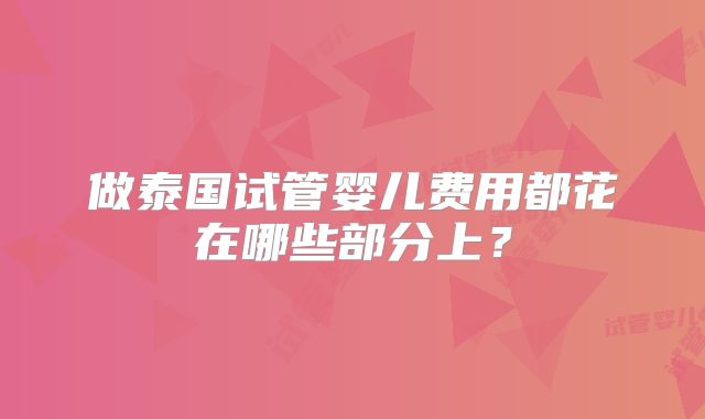 做泰国试管婴儿费用都花在哪些部分上？