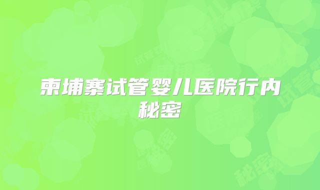 柬埔寨试管婴儿医院行内秘密