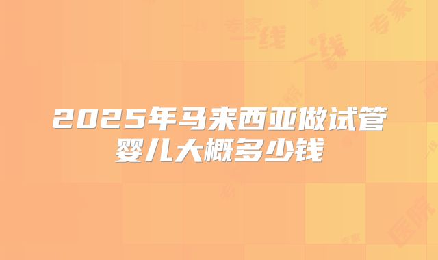 2025年马来西亚做试管婴儿大概多少钱
