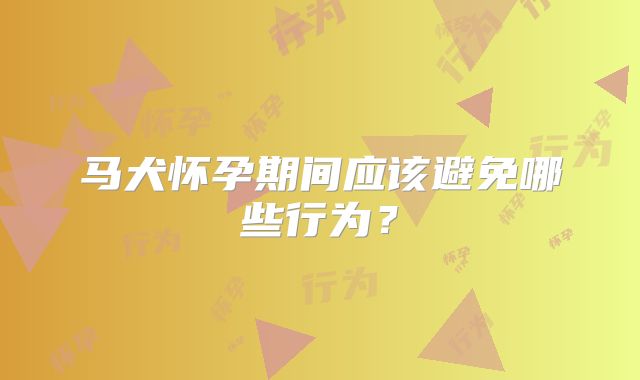马犬怀孕期间应该避免哪些行为？