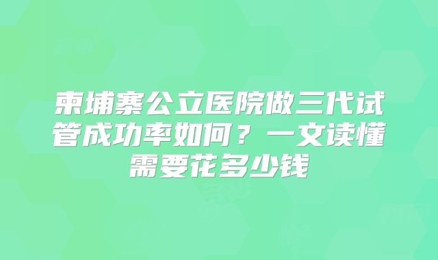 柬埔寨公立医院做三代试管成功率如何？一文读懂需要花多少钱