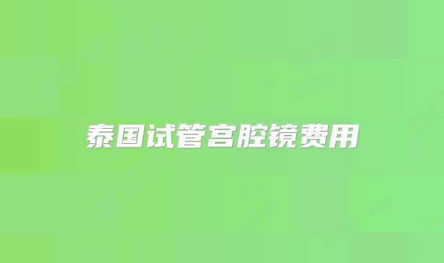 泰国试管宫腔镜费用