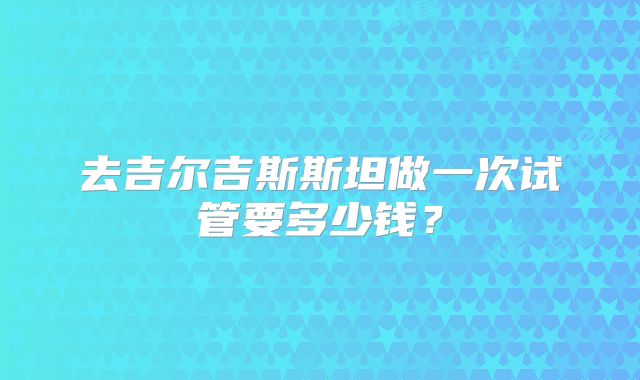 去吉尔吉斯斯坦做一次试管要多少钱？
