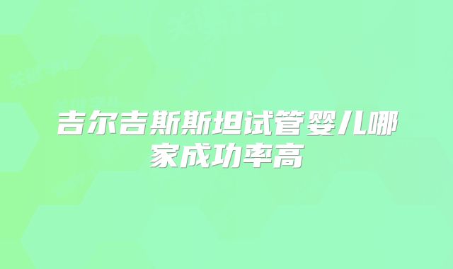 吉尔吉斯斯坦试管婴儿哪家成功率高
