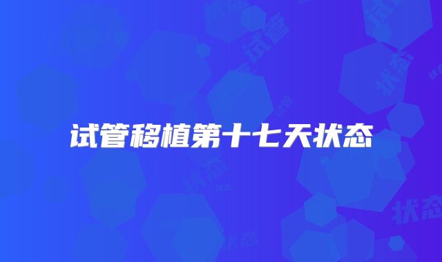 试管移植第十七天状态