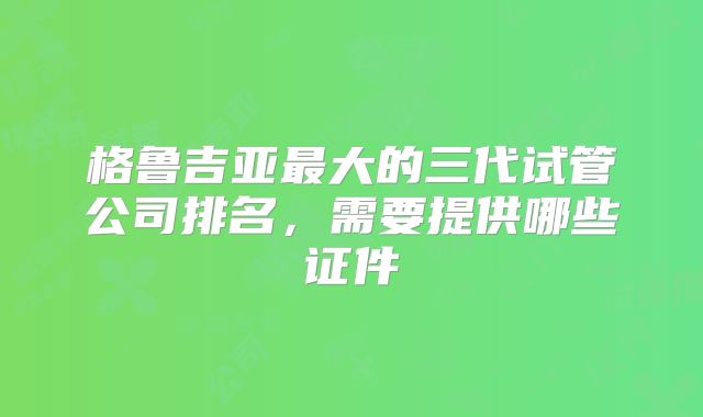 格鲁吉亚最大的三代试管公司排名，需要提供哪些证件