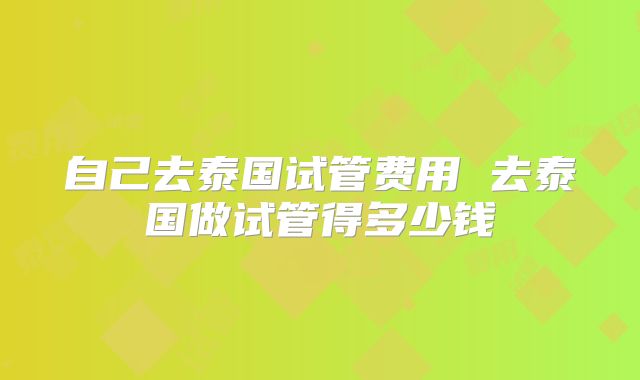 自己去泰国试管费用 去泰国做试管得多少钱