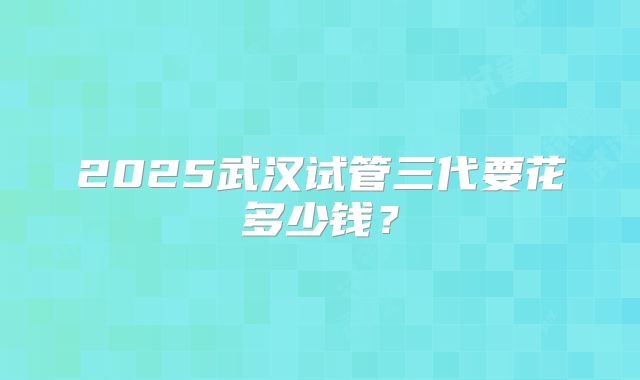 2025武汉试管三代要花多少钱？