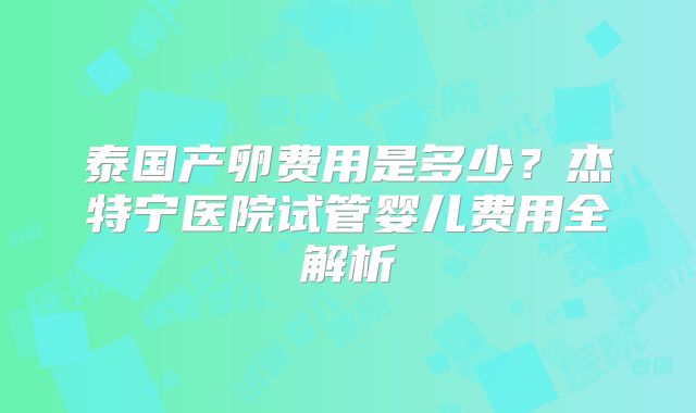 泰国产卵费用是多少？杰特宁医院试管婴儿费用全解析