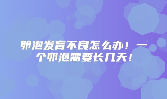 卵泡发育不良怎么办!一个卵泡需要长几天!