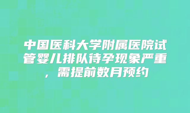 中国医科大学附属医院试管婴儿排队待孕现象严重，需提前数月预约