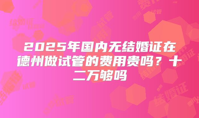 2025年国内无结婚证在德州做试管的费用贵吗？十二万够吗