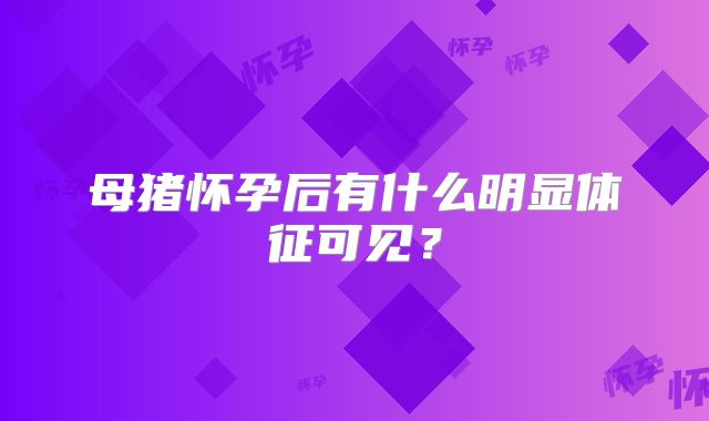 母猪怀孕后有什么明显体征可见？