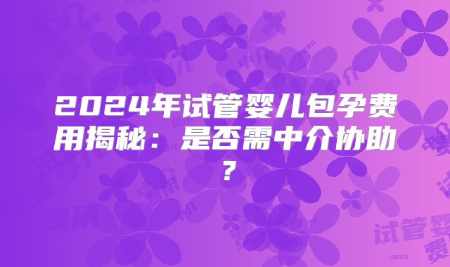 2024年试管婴儿包孕费用揭秘:是否需中介协助?