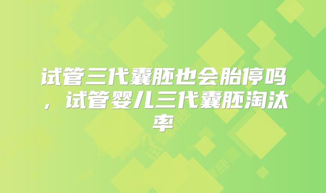 试管三代囊胚也会胎停吗，试管婴儿三代囊胚淘汰率