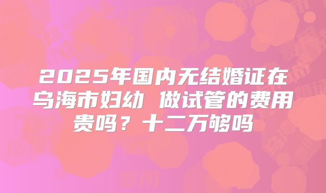 2025年国内无结婚证在乌海市妇幼 做试管的费用贵吗？十二万够吗
