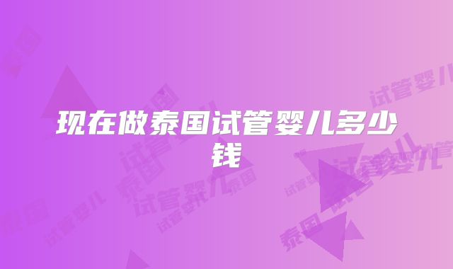 现在做泰国试管婴儿多少钱