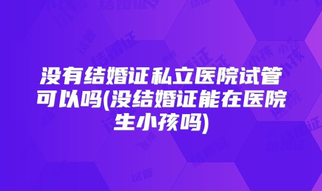 没有结婚证私立医院试管可以吗(没结婚证能在医院生小孩吗)