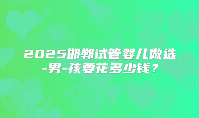 2025邯郸试管婴儿做选-男-孩要花多少钱?