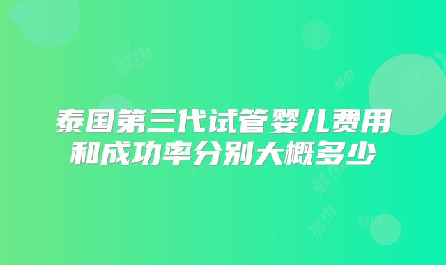 泰国第三代试管婴儿费用和成功率分别大概多少