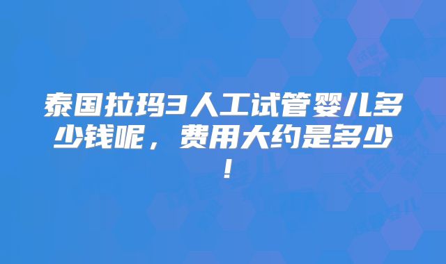 泰国拉玛3人工试管婴儿多少钱呢，费用大约是多少！