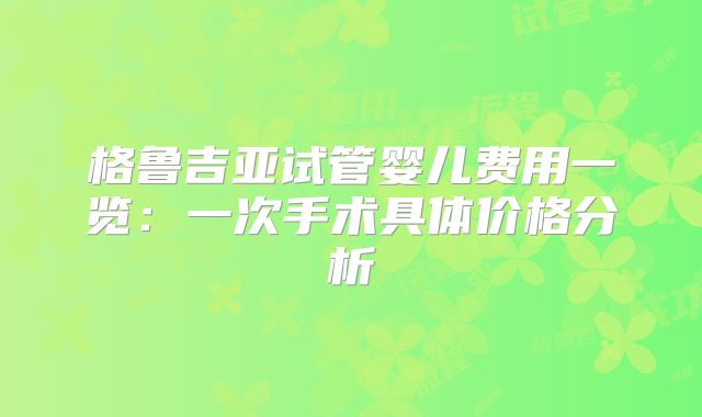 格鲁吉亚试管婴儿费用一览：一次手术具体价格分析