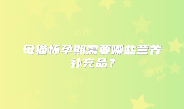 母猫怀孕期需要哪些营养补充品?