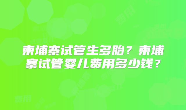 柬埔寨试管生多胎？柬埔寨试管婴儿费用多少钱？