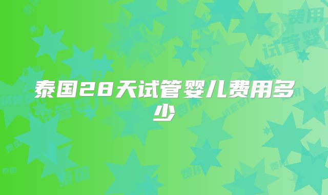 泰国28天试管婴儿费用多少