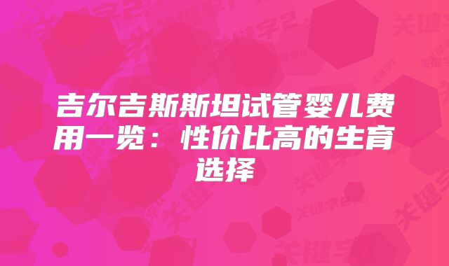 吉尔吉斯斯坦试管婴儿费用一览：性价比高的生育选择