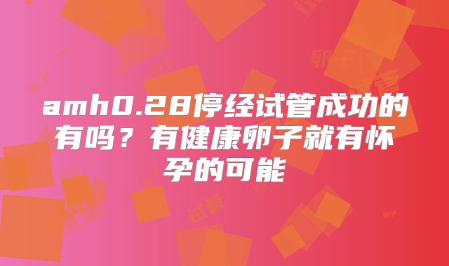 amh0.28停经试管成功的有吗?有健康卵子就有怀孕的可能