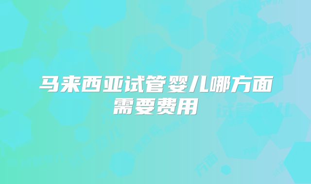 马来西亚试管婴儿哪方面需要费用