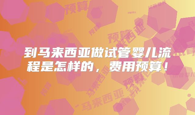到马来西亚做试管婴儿流程是怎样的，费用预算！