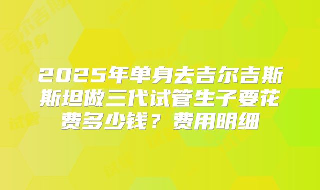 2025年单身去吉尔吉斯斯坦做三代试管生子要花费多少钱？费用明细