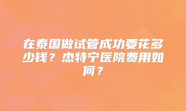 在泰国做试管成功要花多少钱?杰特宁医院费用如何?