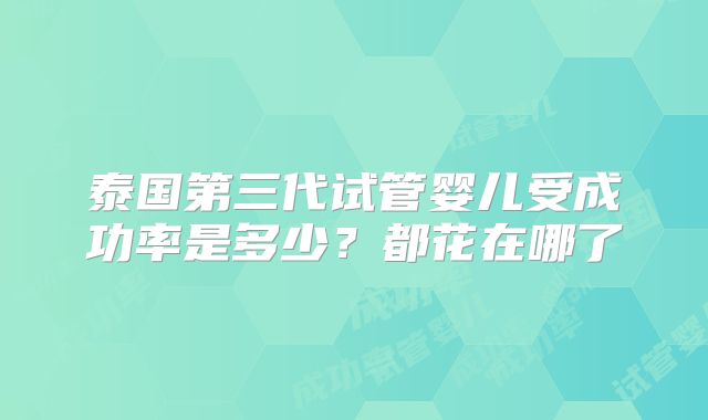 泰国第三代试管婴儿受成功率是多少？都花在哪了