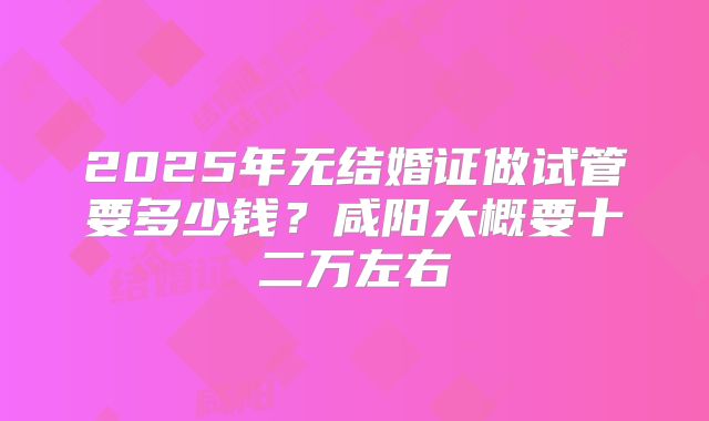 2025年无结婚证做试管要多少钱？咸阳大概要十二万左右
