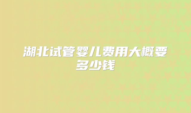 湖北试管婴儿费用大概要多少钱