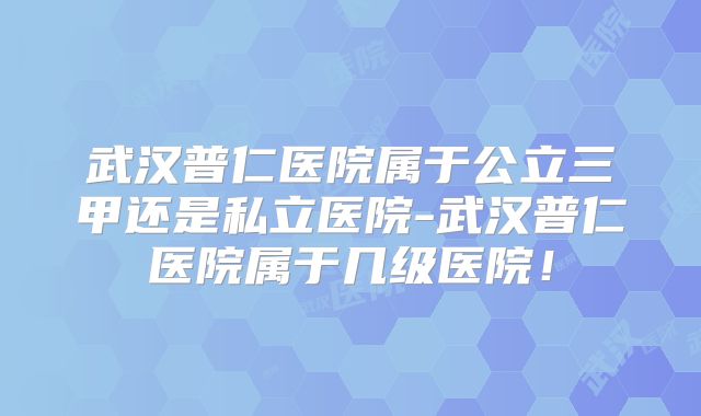 武汉普仁医院属于公立三甲还是私立医院-武汉普仁医院属于几级医院！