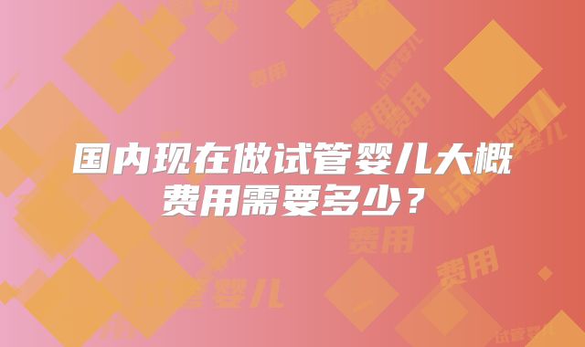 国内现在做试管婴儿大概费用需要多少？