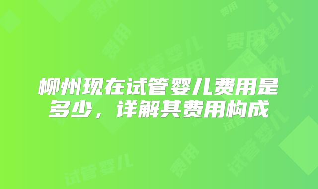 柳州现在试管婴儿费用是多少，详解其费用构成