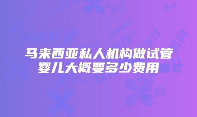 马来西亚私人机构做试管婴儿大概要多少费用