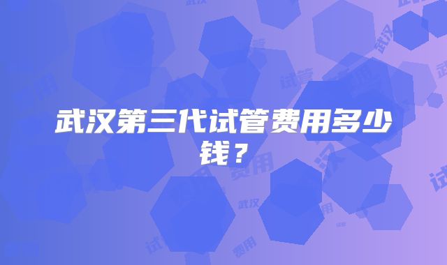 武汉第三代试管费用多少钱？