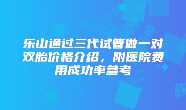 乐山通过三代试管做一对双胎价格介绍,附医院费用成功率参考