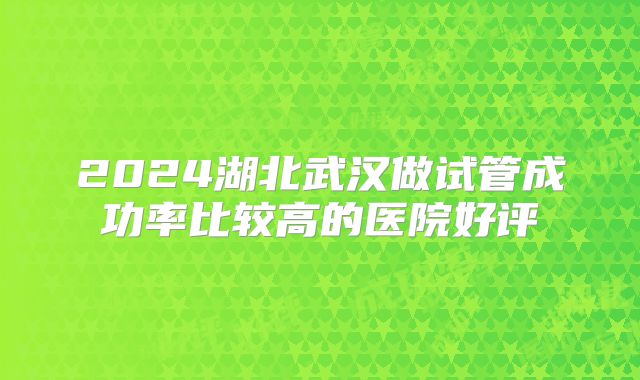 2024湖北武汉做试管成功率比较高的医院好评