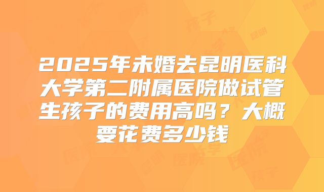 2025年未婚去昆明医科大学第二附属医院做试管生孩子的费用高吗?大概要花费多少钱