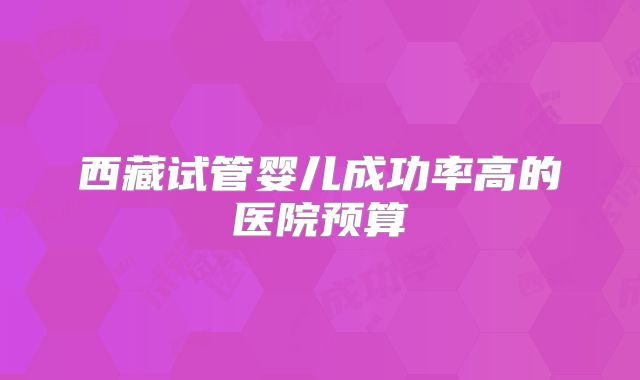 西藏试管婴儿成功率高的医院预算